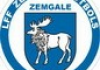 Zemgales Jaunatnes telpu futbola čempionāts 2017, 2007.g.dz.