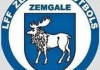 Zemgales Jaunatnes telpu futbola čempionāts 2019, 2006.g.dz.